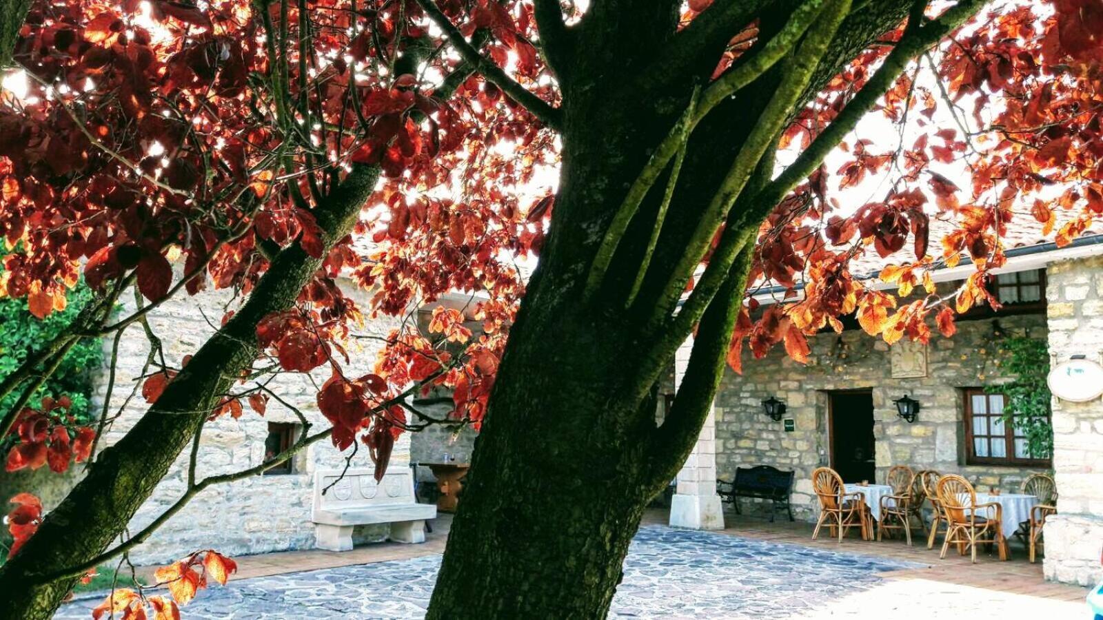 Posada Paz Hinojedo Exteriör bild